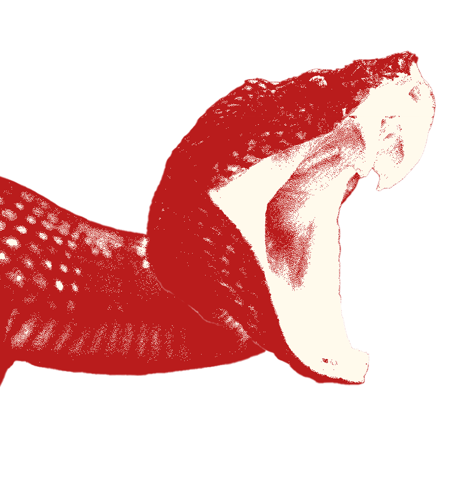 waz